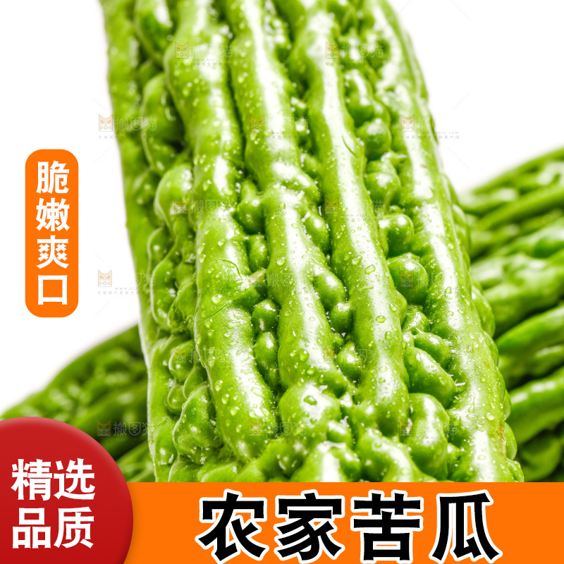 白底上摆放着新鲜苦瓜