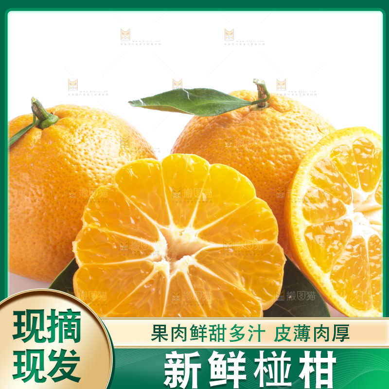 白底上的椪柑橘