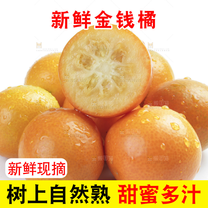 白底上的金钱橘