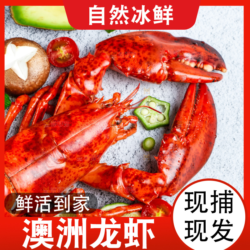 石板上的波士顿大龙虾