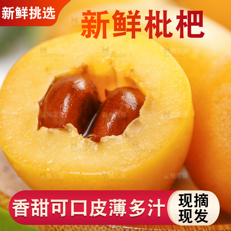 石板上的云南蒙自枇杷