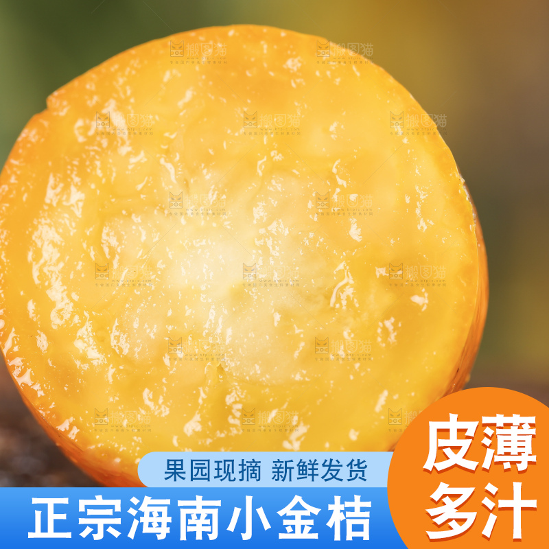 木底上放着新鲜金钱桔