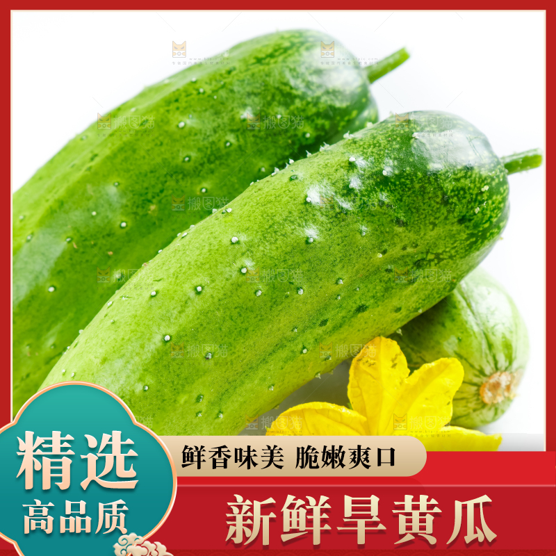 白底上的小黄瓜