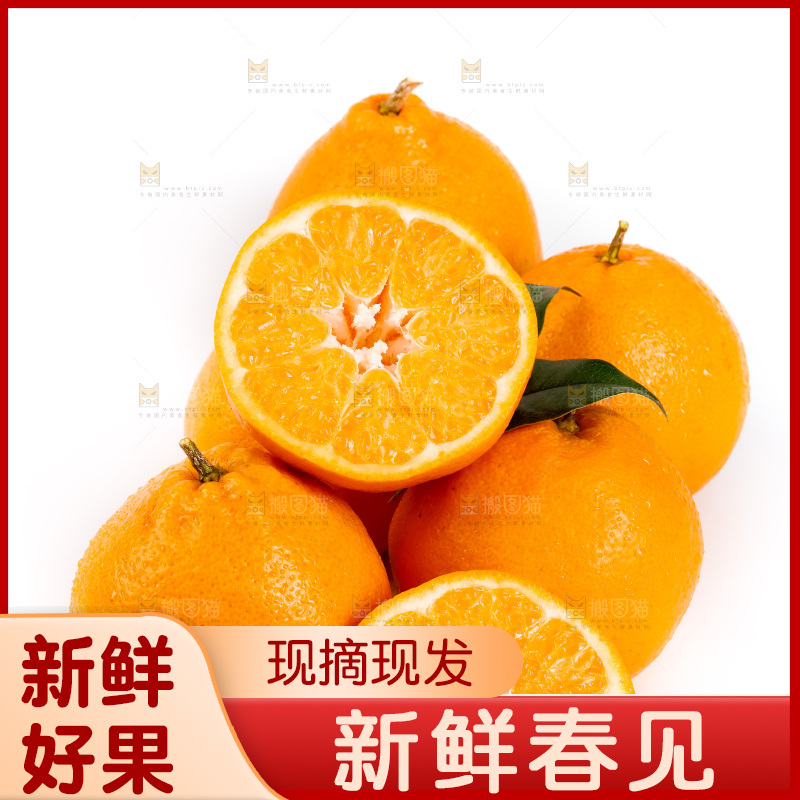 白底上的春见耙耙柑