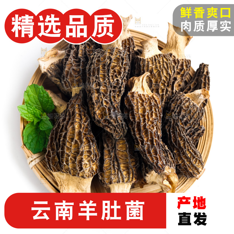 干羊肚菌放在浅底上