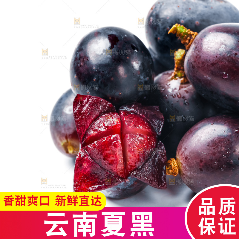 云南夏黑葡萄放在白底上