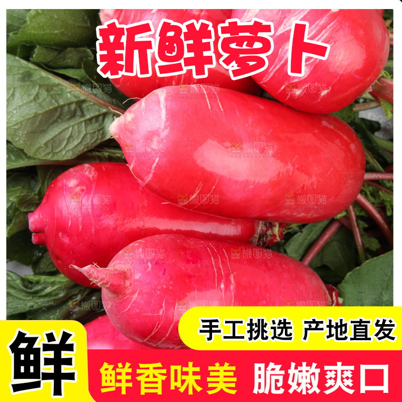 白底上的红萝卜