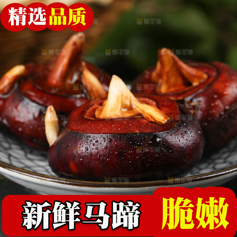 黑石板上的荔浦马蹄