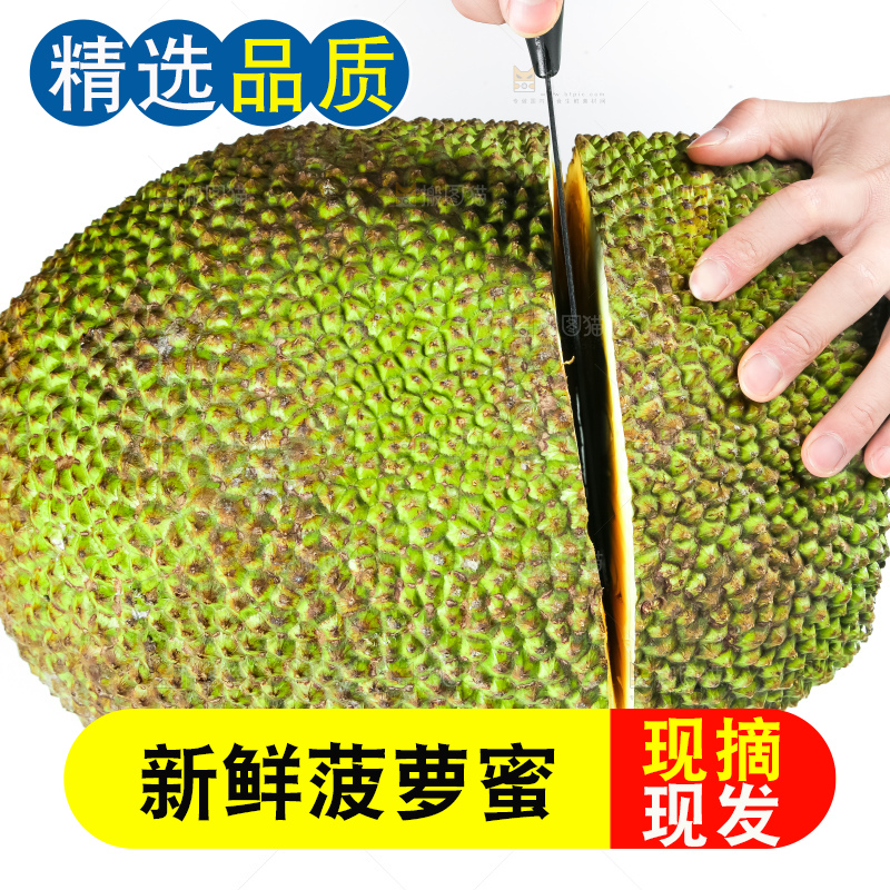 手里拿着红肉菠萝蜜