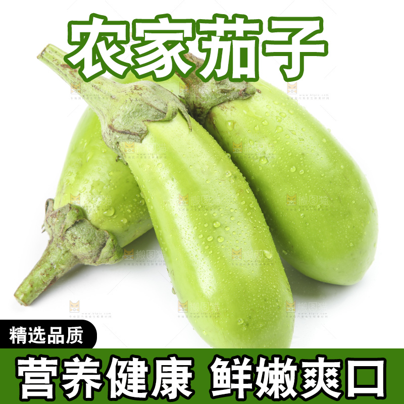 白底上放着青皮茄子