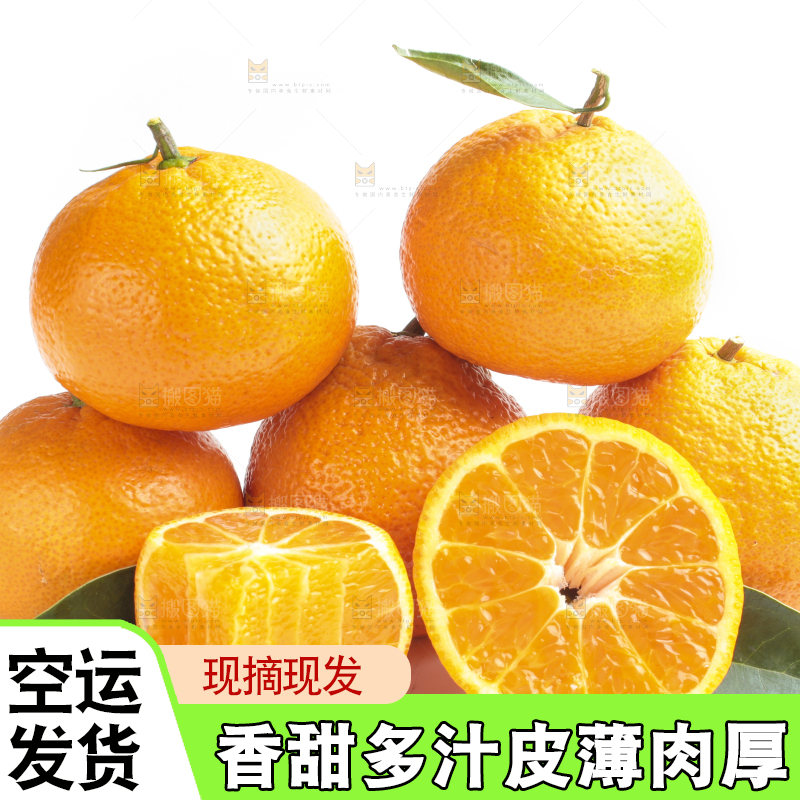 白底上的椪柑橘