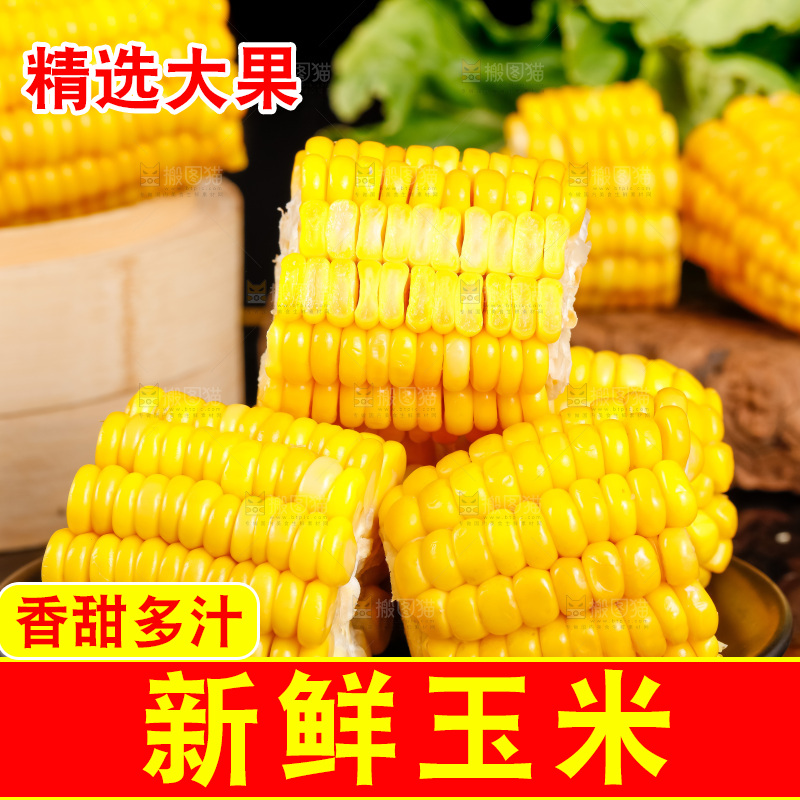 深底上的东北玉米