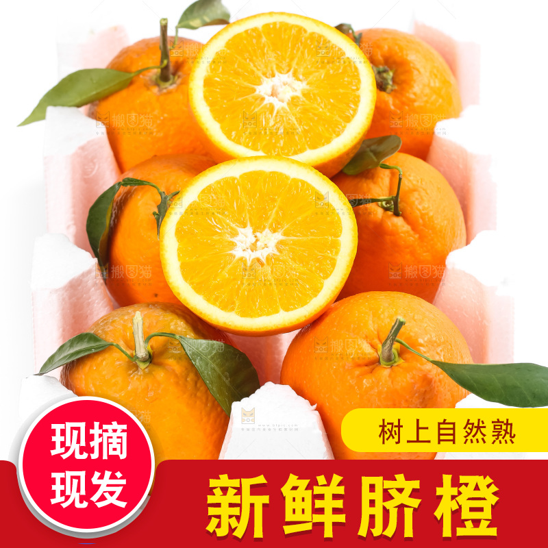箱子里的秭归脐橙