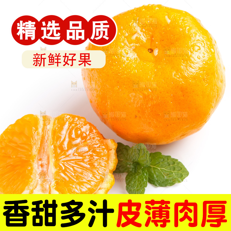 白底上的永春芦柑