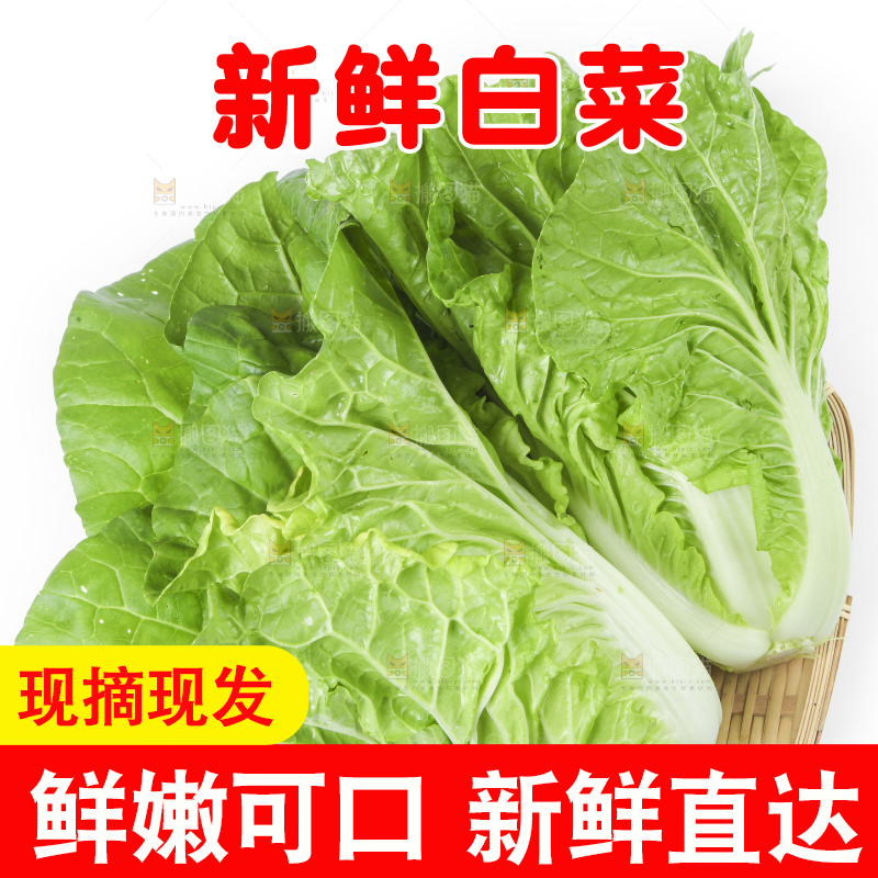 篮子里装着白菜