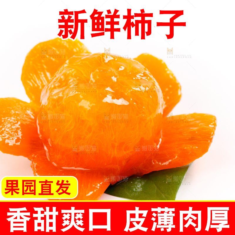 白底上放着甜柿子