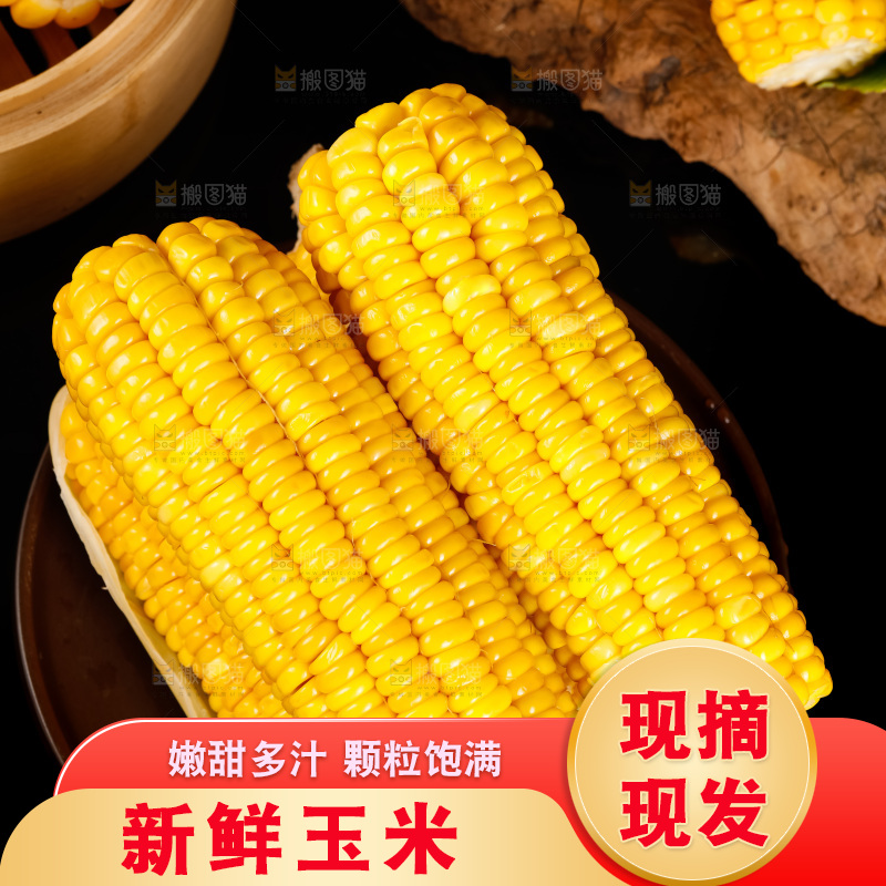 深底上的东北玉米
