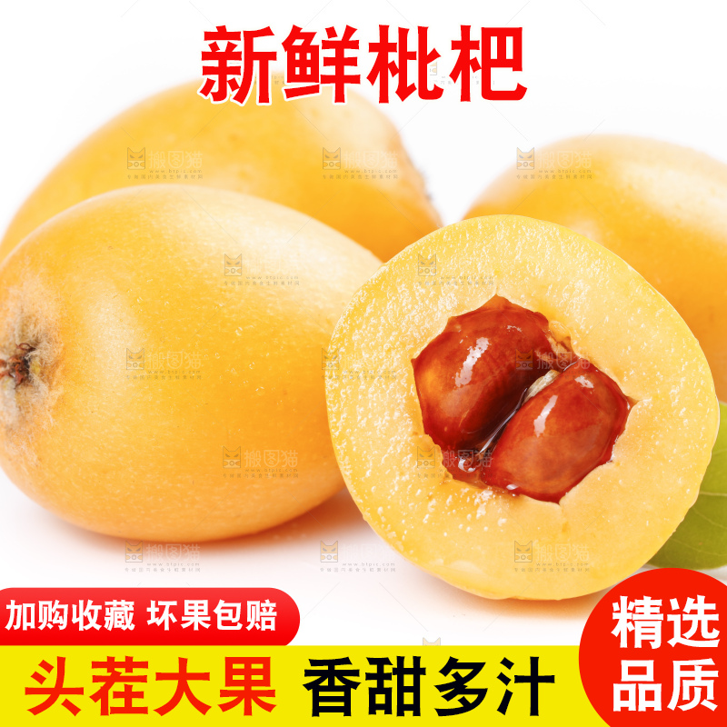 白底上放着攀枝花米易枇杷