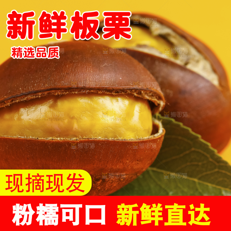黄底上的迁西板栗