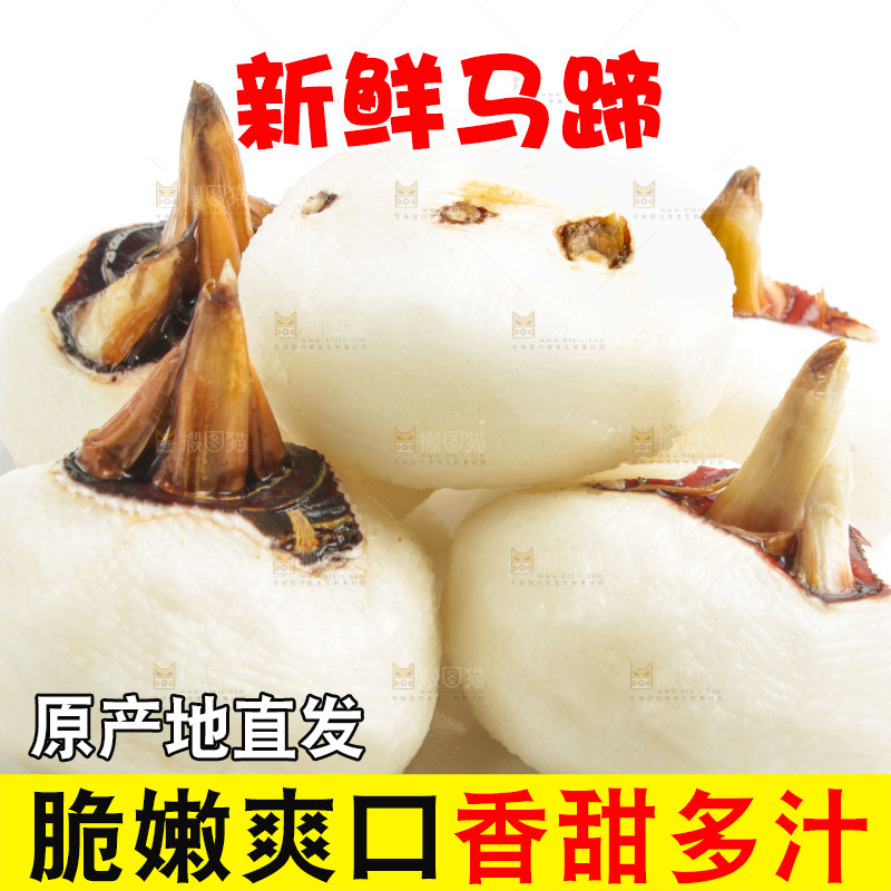 白底上摆放着广西荔浦马蹄