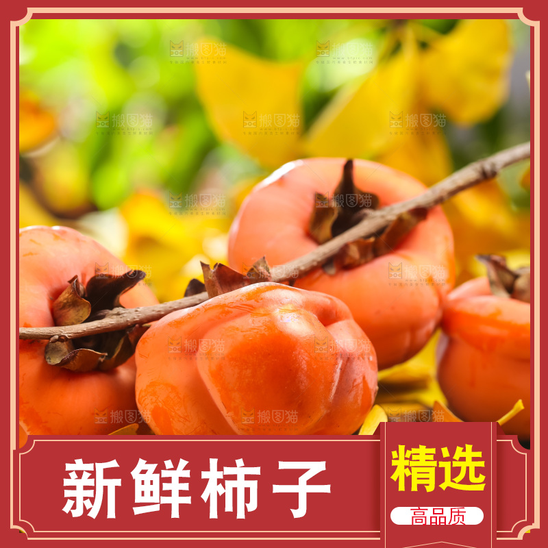 浅底上的灯笼柿子