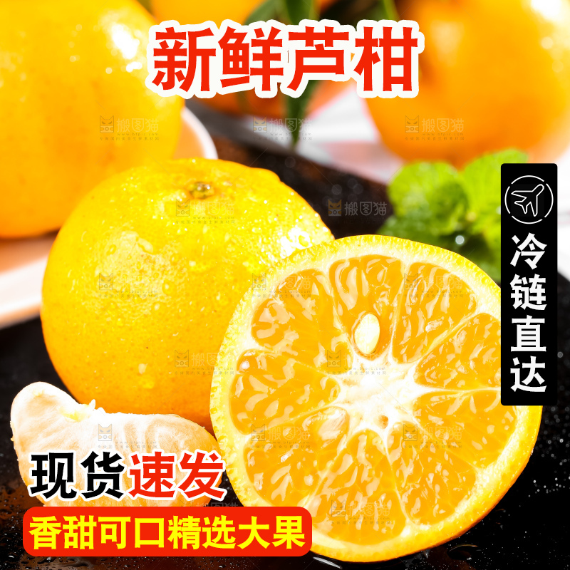 黑底上的福建芦柑