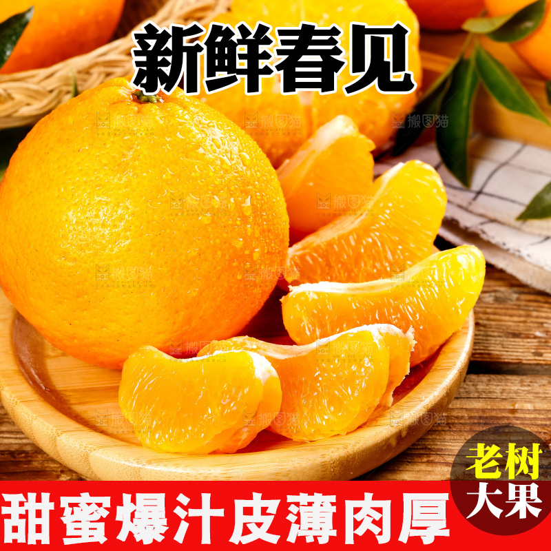 木板上放着耙耙柑