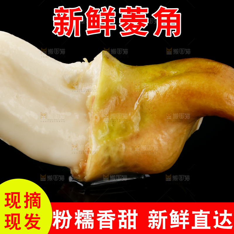 黑底上的菱角