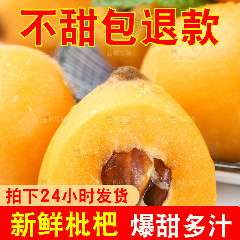 白底上的枇杷