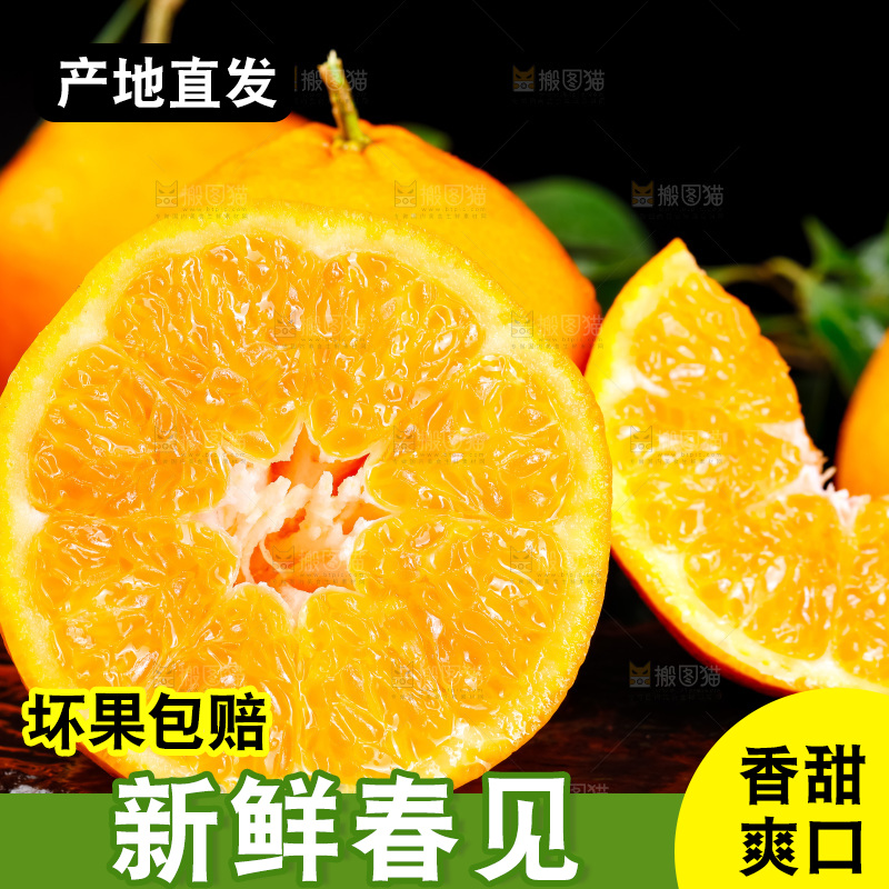 深底上的春见柑桔