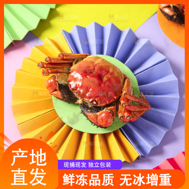 彩底上的螃蟹
