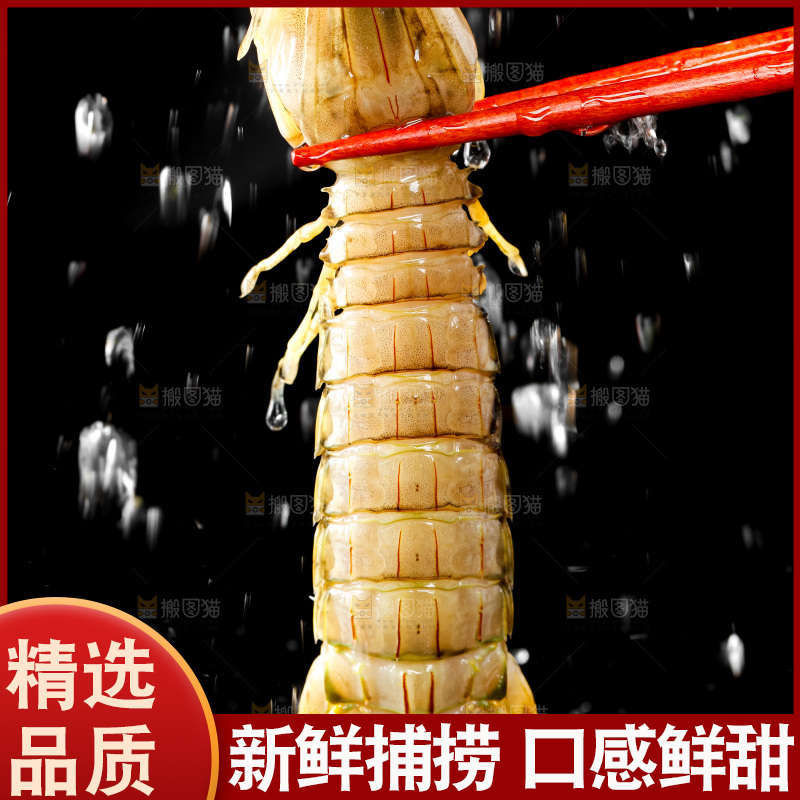 筷子上夹着虾姑