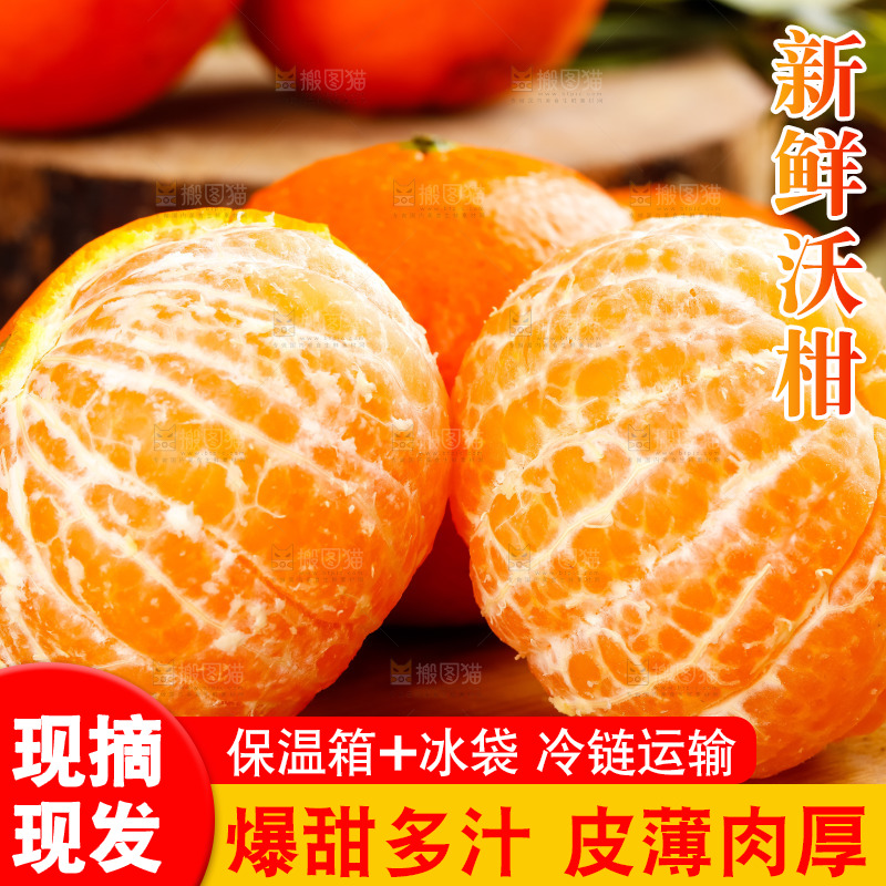 木板上摆放着广西沃柑