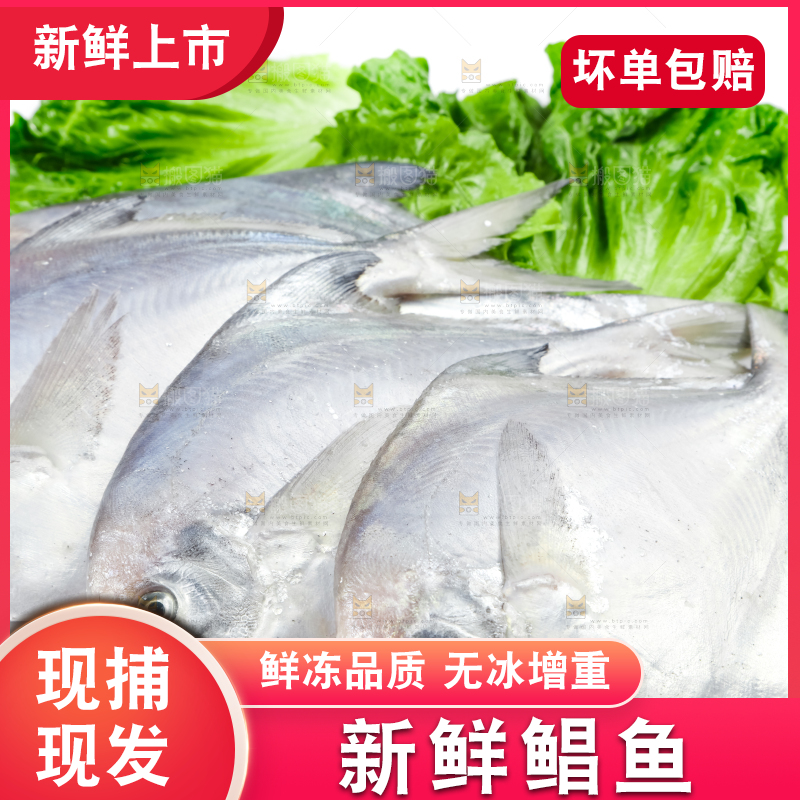 白底上放着银鲳鱼