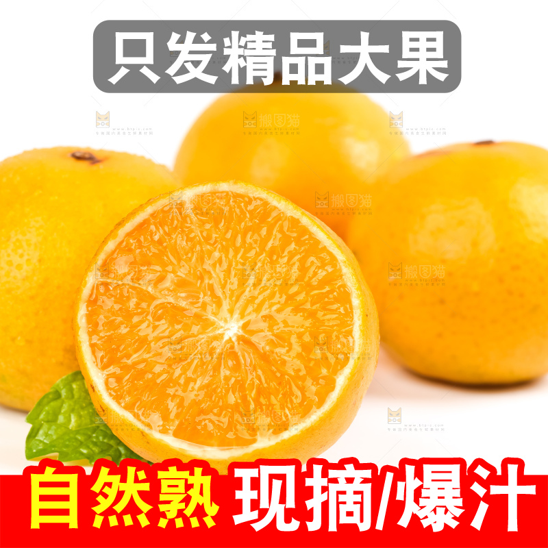 白底上的皇帝柑