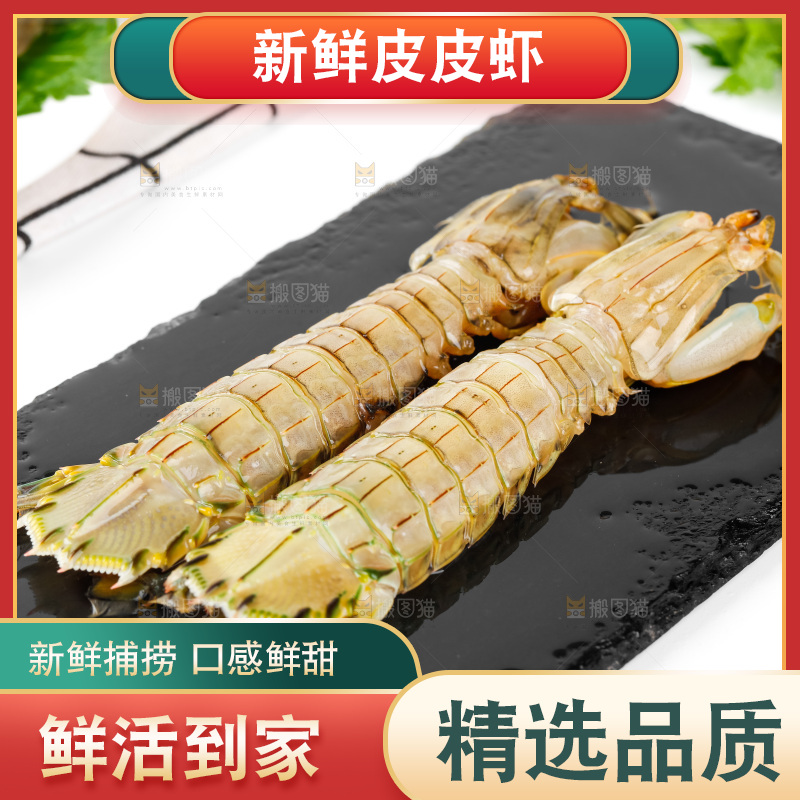 黑石板上的濑尿虾