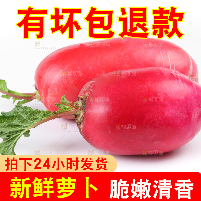白底上的红萝卜