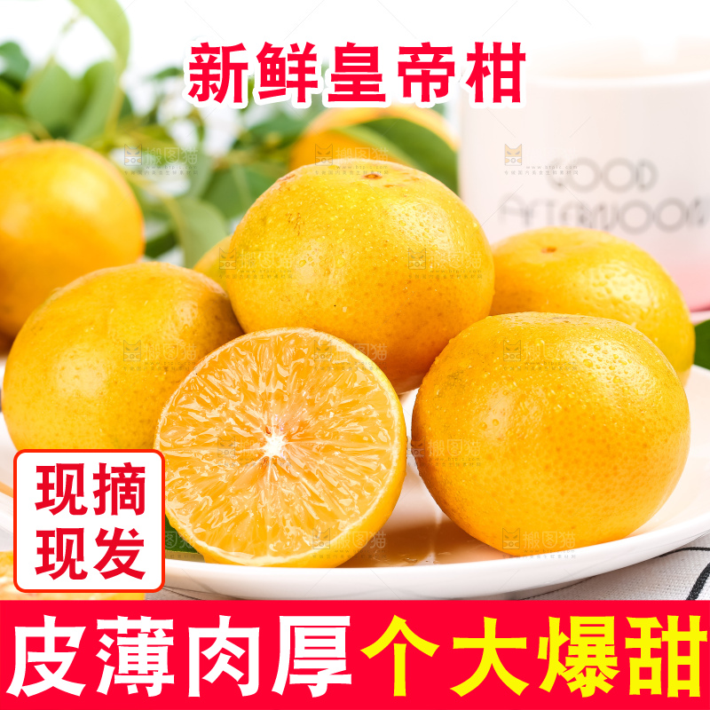 格子底上放着一盘武鸣皇帝柑