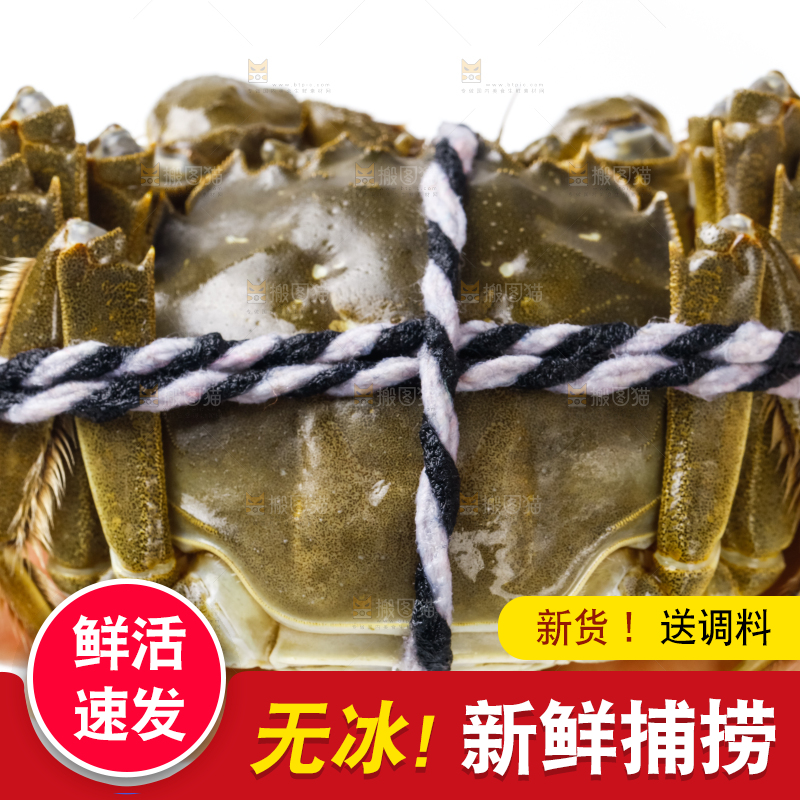 手里拿着鲜活螃蟹