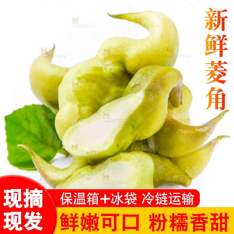 白底上放着洪湖菱角