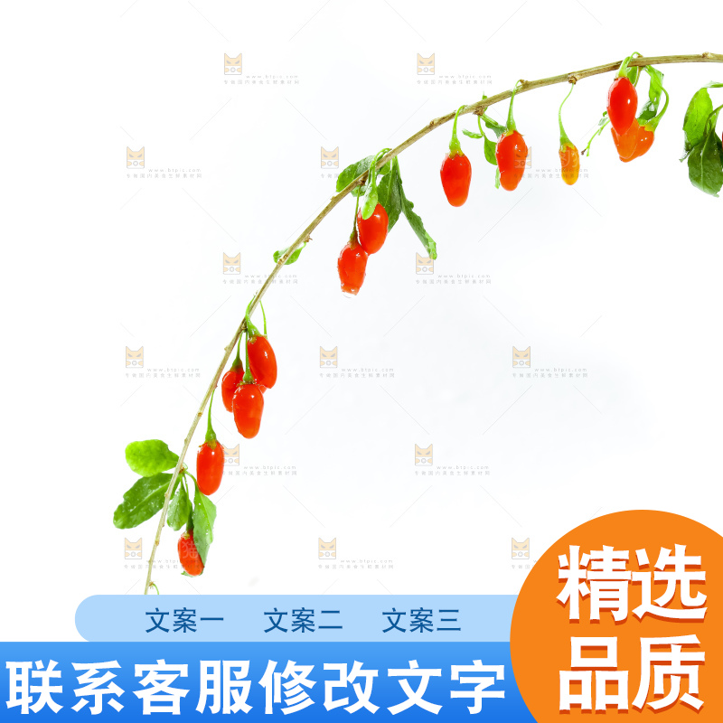 白底上放着枸杞