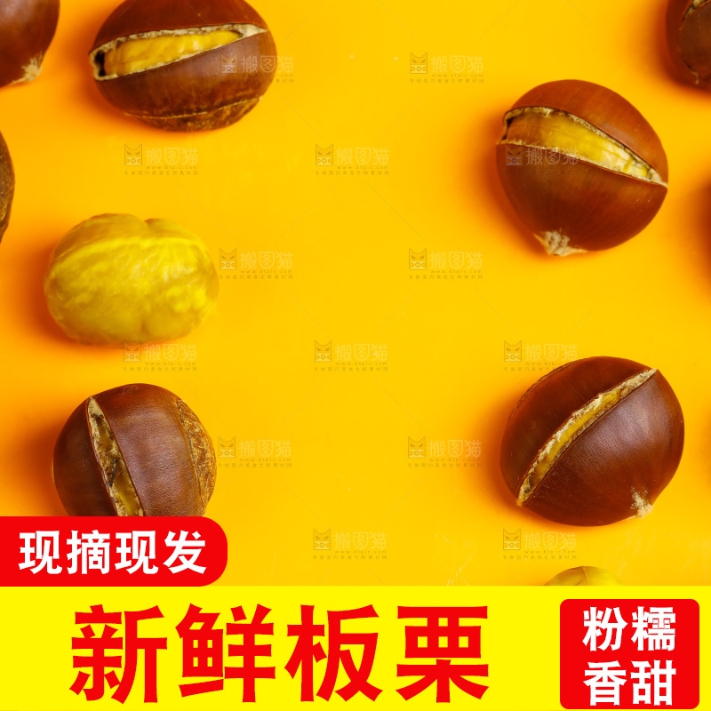 黄底上的迁西板栗