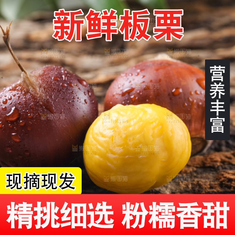 木底上的毛栗子