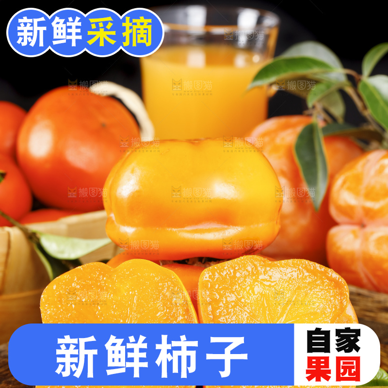 木板上摆放着易县磨盘柿子