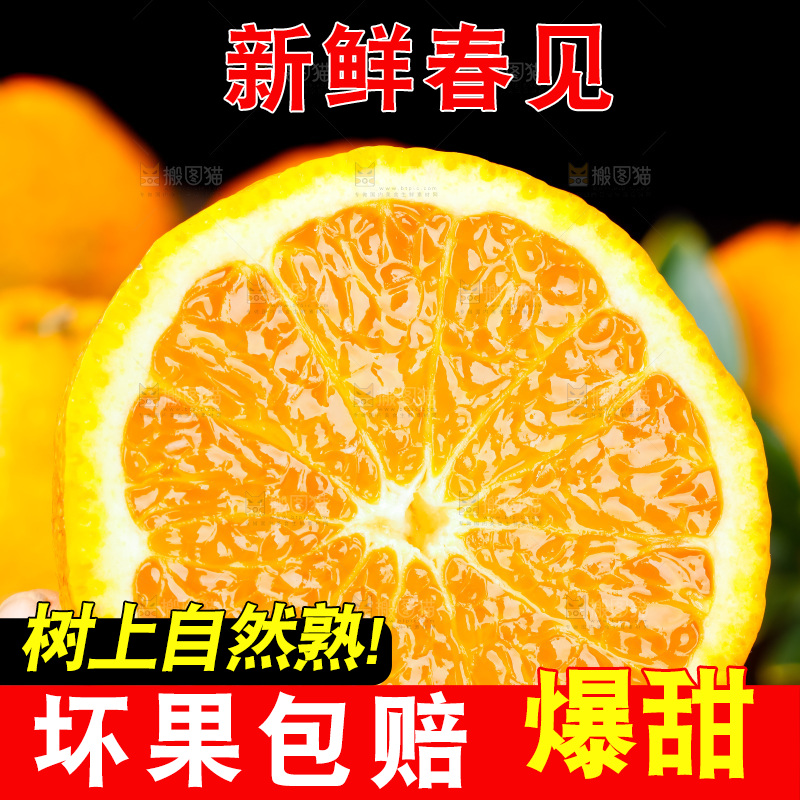 手里拿着新鲜春见