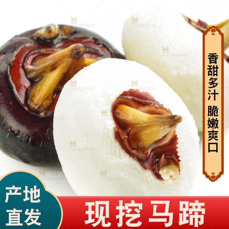 白底上摆放着广西荔浦马蹄