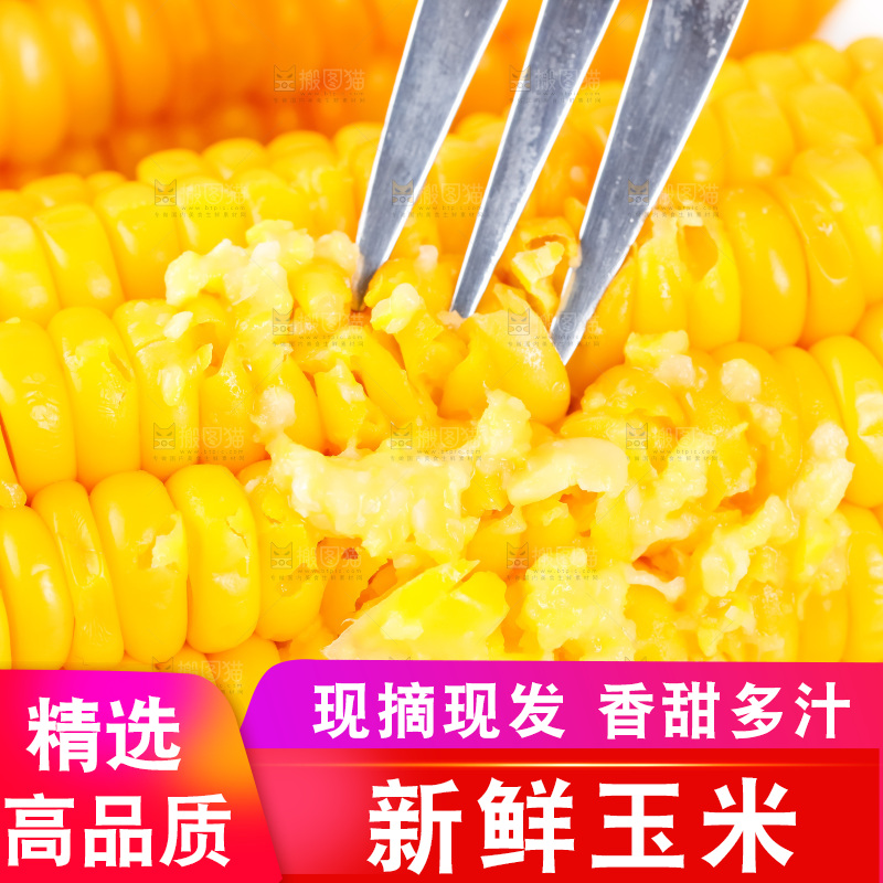 白底上放着黄玉米