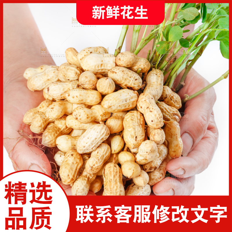 手上捧着湿花生