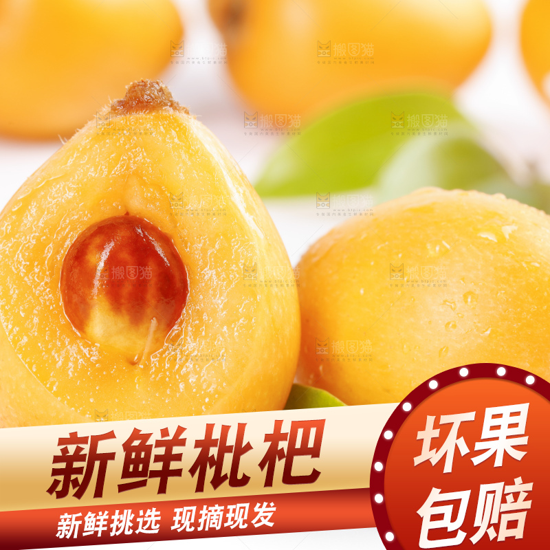 白底上的米易枇杷