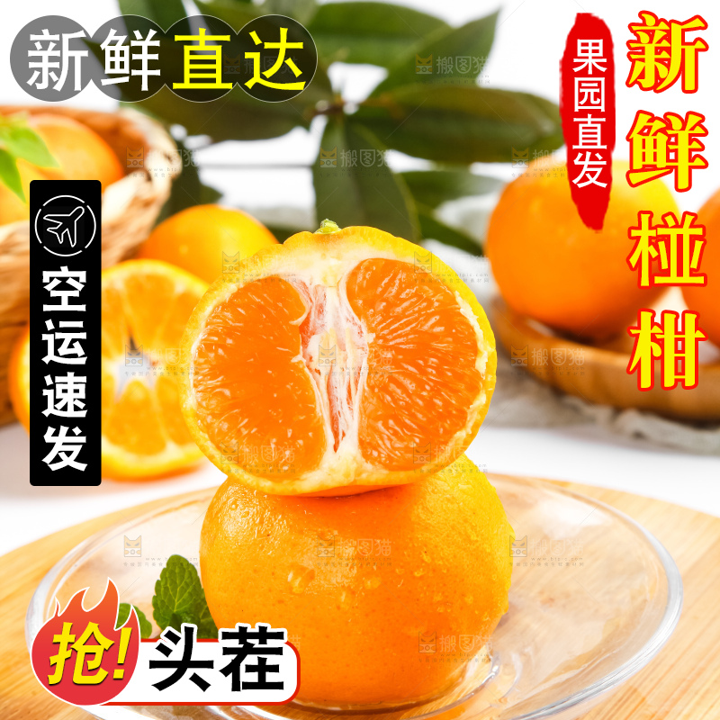 木板上放着广西椪柑
